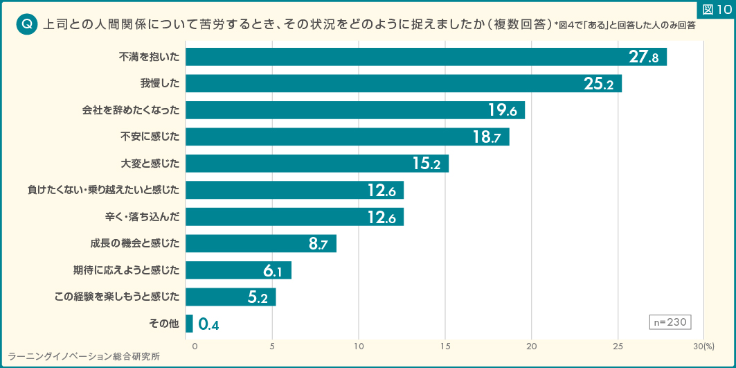 (図10) 